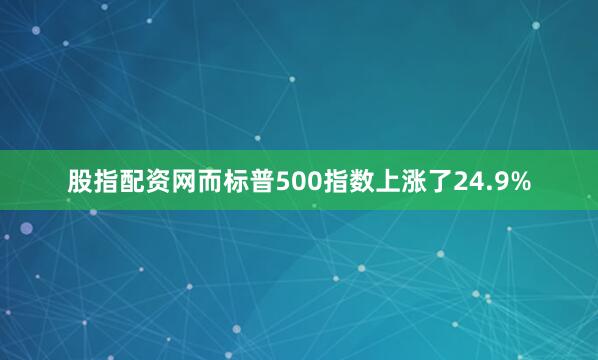 股指配资网而标普500指数上涨了24.9%