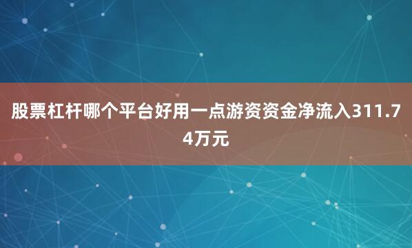股票杠杆哪个平台好用一点游资资金净流入311.74万元